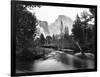 Yosemite National Park, Valley Floor and Half Dome Photograph - Yosemite, CA-Lantern Press-Framed Art Print