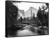 Yosemite National Park, Valley Floor and Half Dome Photograph - Yosemite, CA-Lantern Press-Framed Stretched Canvas