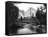 Yosemite National Park, Valley Floor and Half Dome Photograph - Yosemite, CA-Lantern Press-Framed Stretched Canvas