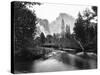 Yosemite National Park, Valley Floor and Half Dome Photograph - Yosemite, CA-Lantern Press-Stretched Canvas