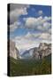 Yosemite National Park View on a Vertical Format-Carlos'S Pemium Images-Stretched Canvas