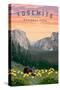 Yosemite National Park - Wildlife & Spring Flowers-Lantern Press-Stretched Canvas