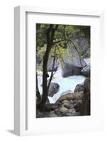 Yosemite National Park, Wyoming, USA. Intimate River Scene-Janet Muir-Framed Photographic Print