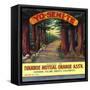 Yosemite Orange Label - Ivanhoe, CA-Lantern Press-Framed Stretched Canvas