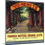 Yosemite Orange Label - Ivanhoe, CA-Lantern Press-Mounted Art Print