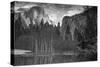 Yosemite Reflection 2 BW-Moises Levy-Stretched Canvas