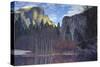 Yosemite Reflection 2 Color-Moises Levy-Stretched Canvas