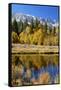 Yosemite's Mount Dana as Seen from Lee Vining Canyon in the Sierras-John Alves-Framed Stretched Canvas