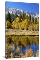 Yosemite's Mount Dana as Seen from Lee Vining Canyon in the Sierras-John Alves-Stretched Canvas