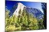 Yosemite Scenic withe the El Capitan-George Oze-Mounted Photographic Print