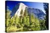 Yosemite Scenic withe the El Capitan-George Oze-Stretched Canvas