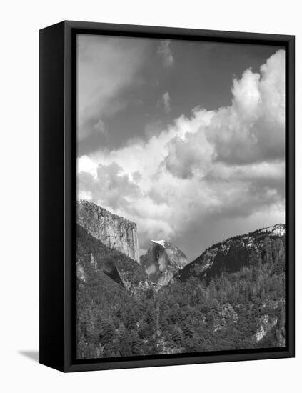 Yosemite Valley, CAlifornia,USA-Anna Miller-Framed Stretched Canvas