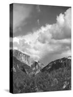 Yosemite Valley, CAlifornia,USA-Anna Miller-Stretched Canvas