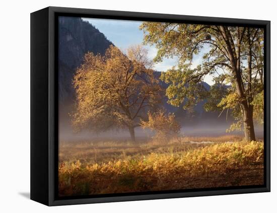 Yosemite Valley in Fall Foliage-Craig Lovell-Framed Stretched Canvas