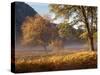 Yosemite Valley in Fall Foliage-Craig Lovell-Stretched Canvas