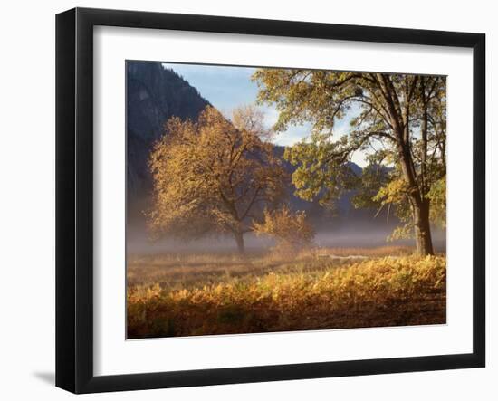 Yosemite Valley in Fall Foliage-Craig Lovell-Framed Premium Photographic Print