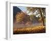 Yosemite Valley in Fall Foliage-Craig Lovell-Framed Premium Photographic Print
