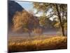 Yosemite Valley in Fall Foliage-Craig Lovell-Mounted Premium Photographic Print