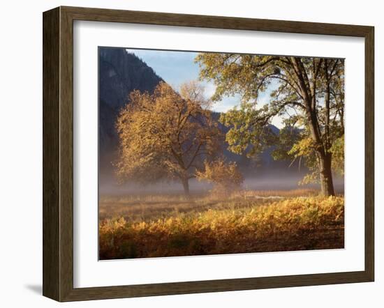 Yosemite Valley in Fall Foliage-Craig Lovell-Framed Photographic Print