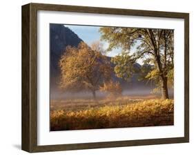 Yosemite Valley in Fall Foliage-Craig Lovell-Framed Photographic Print