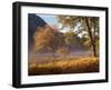 Yosemite Valley in Fall Foliage-Craig Lovell-Framed Photographic Print