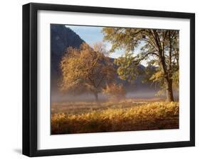 Yosemite Valley in Fall Foliage-Craig Lovell-Framed Photographic Print