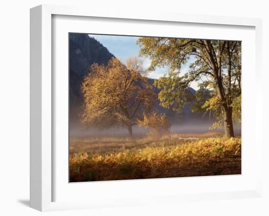 Yosemite Valley in Fall Foliage-Craig Lovell-Framed Photographic Print