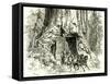 Yosemite Valley Wawona 1891, USA-null-Framed Stretched Canvas