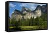 Yosemite Valley, Yosemite National Park, California, USA-Jerry Ginsberg-Framed Stretched Canvas