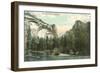 Yosemite Valley-null-Framed Art Print