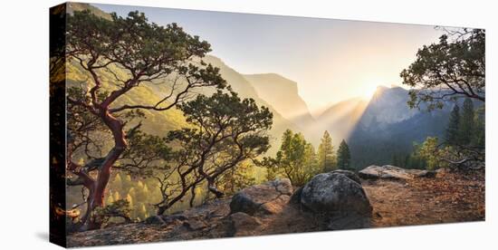 Yosemites Secret-Stefan Hefele-Stretched Canvas