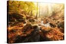 Stretched Canvas