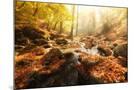Wood Mount