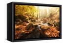 Canvas Black