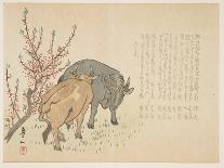 Oxen, January 1853-Yoshimura K?iitsu-Mounted Giclee Print