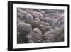 Yoshino Japan 2-Art Wolfe-Framed Photographic Print