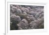 Yoshino Japan 2-Art Wolfe-Framed Photographic Print