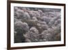 Yoshino Japan 2-Art Wolfe-Framed Photographic Print