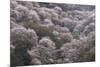 Yoshino Japan 2-Art Wolfe-Mounted Photographic Print