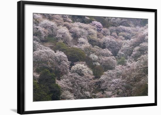 Yoshino Japan 2-Art Wolfe-Framed Photographic Print