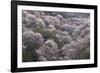 Yoshino Japan 2-Art Wolfe-Framed Photographic Print