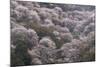 Yoshino Japan 2-Art Wolfe-Mounted Photographic Print