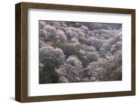 Yoshino Japan 2-Art Wolfe-Framed Photographic Print