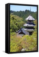 Yoshino, Japan-Tupungato-Framed Stretched Canvas