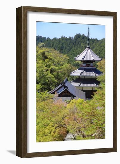 Yoshino, Japan-Tupungato-Framed Photographic Print