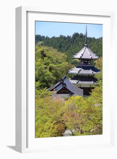 Yoshino, Japan-Tupungato-Framed Photographic Print