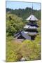 Yoshino, Japan-Tupungato-Mounted Photographic Print