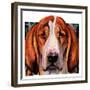 "You Ain't Nothing But a Hounddog,"January 30, 1937-Paul Bransom-Framed Giclee Print