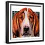 "You Ain't Nothing But a Hounddog,"January 30, 1937-Paul Bransom-Framed Giclee Print