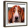 "You Ain't Nothing But a Hounddog,"January 30, 1937-Paul Bransom-Framed Giclee Print